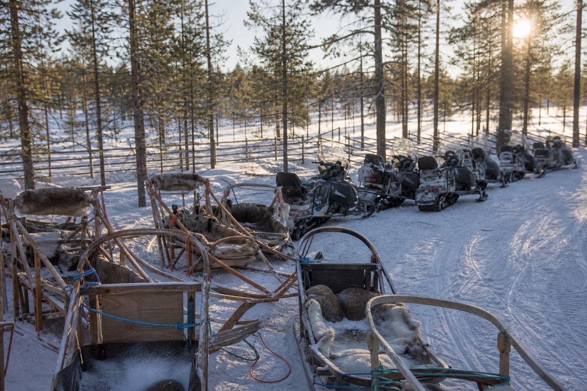 A group of empty wooden sleds and snowmobiles lined up at a Lapland activity base in morning light
