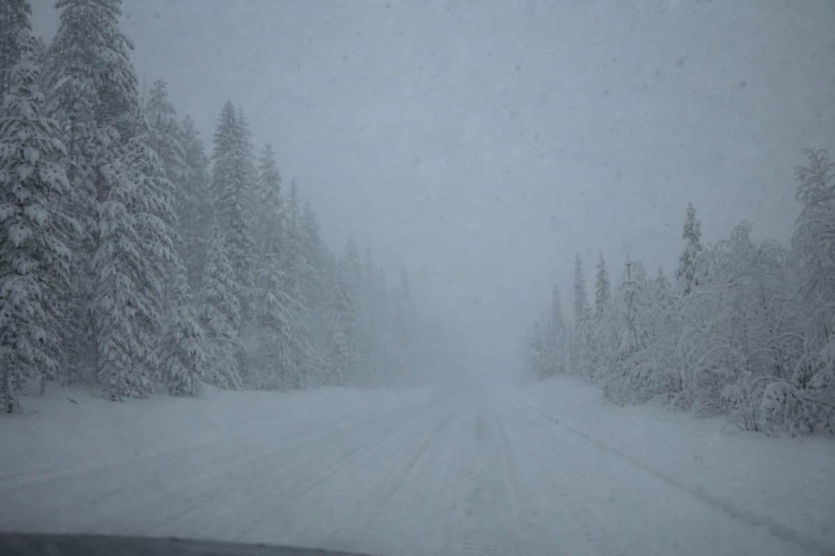 A heavy snowstorm blowing across a Lapland forest road, low visibility, grey daylight
