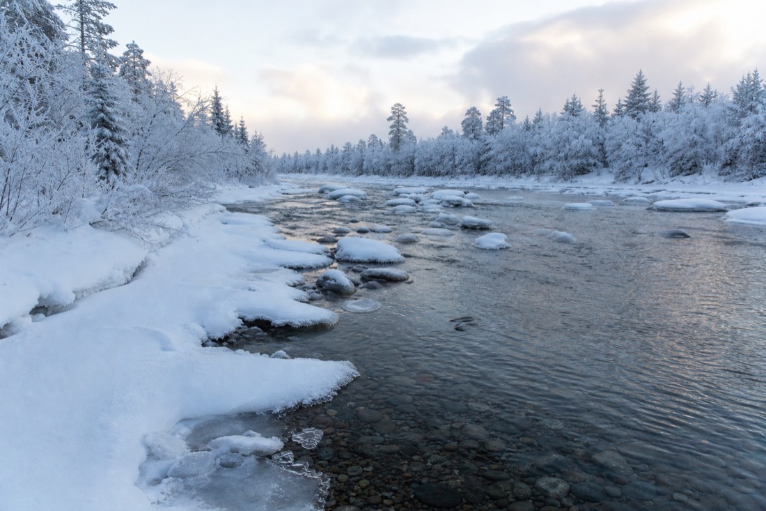 Snow-covered Finnish Lapland landscape in natural winter light
