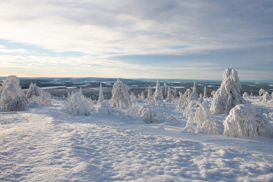 Snow-covered Finnish Lapland landscape in natural winter light