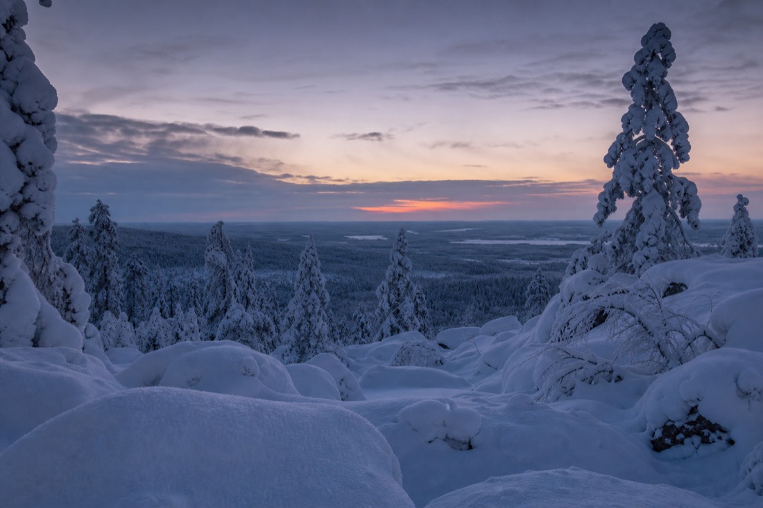 Snow-covered Finnish Lapland landscape in natural winter light