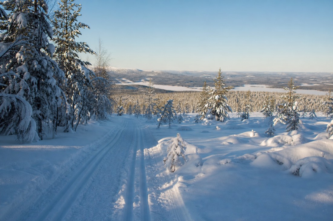Snow-covered Finnish Lapland landscape in natural winter light