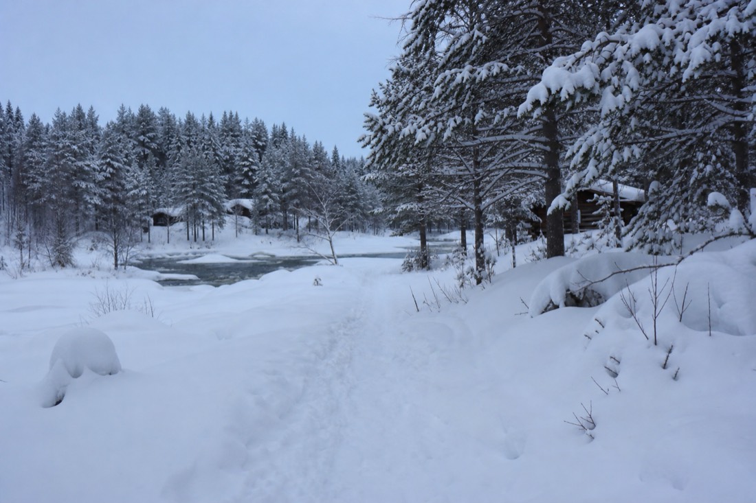 Paisaje invernal de Laponia finlandesa cubierto de nieve bajo luz natural