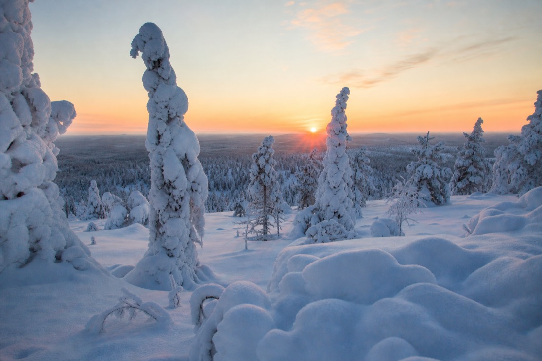 Snow-covered Finnish Lapland landscape in natural winter light
