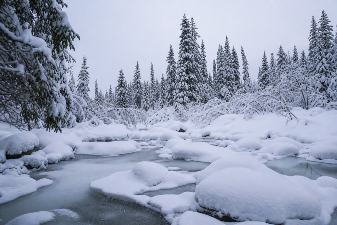 Snow-covered Finnish Lapland landscape in natural winter light
