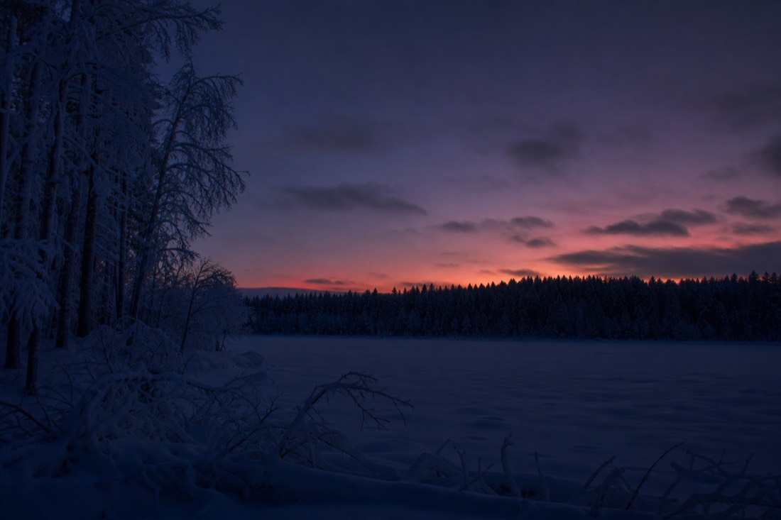 Snow-covered Finnish Lapland landscape in natural winter light