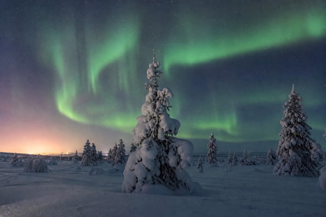 Snow-covered Finnish Lapland landscape in natural winter light
