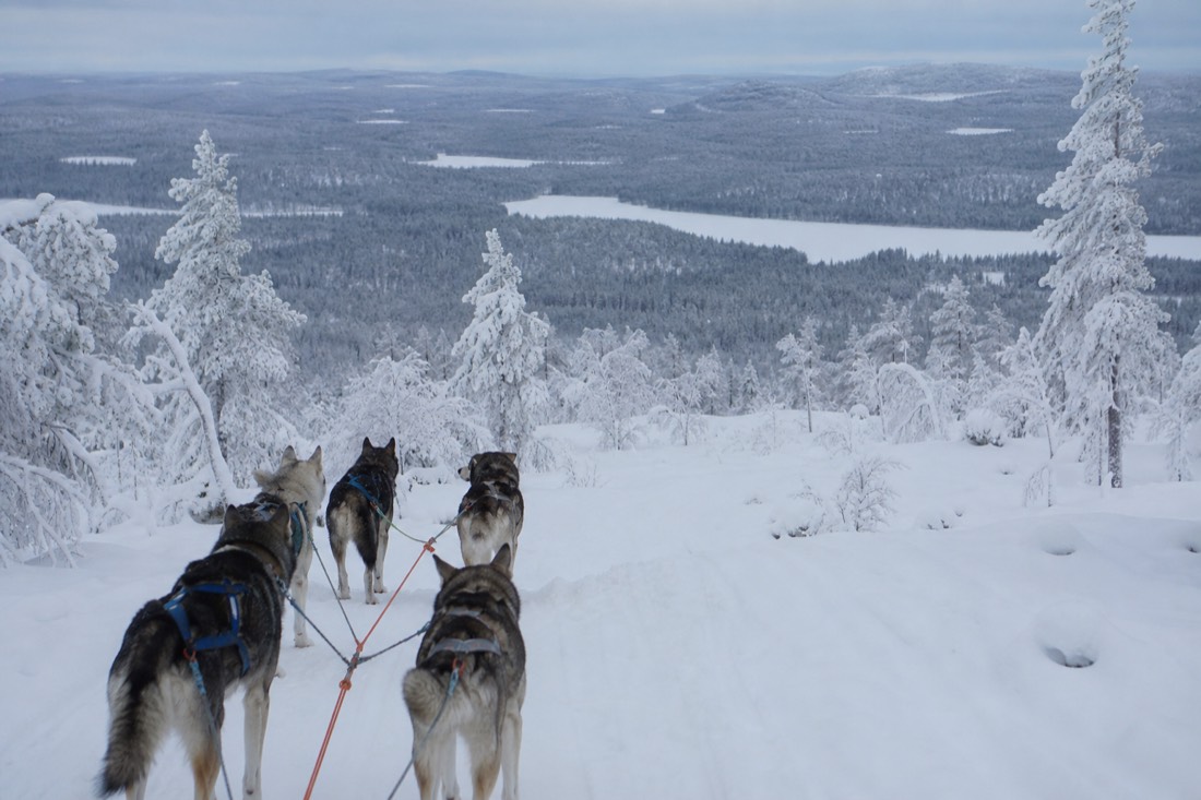 Snow-covered Finnish Lapland landscape in natural winter light