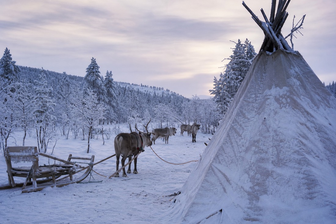 Snow-covered Finnish Lapland landscape in natural winter light