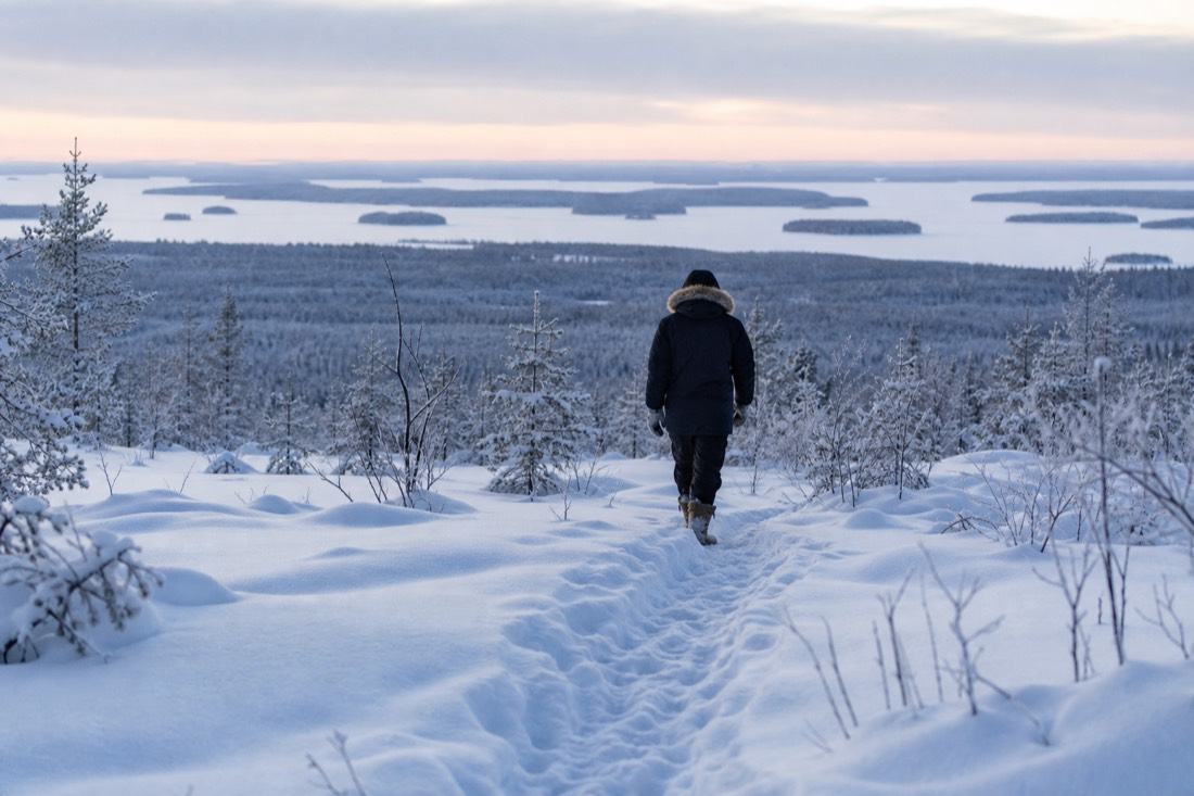 Snow-covered Finnish Lapland landscape in natural winter light