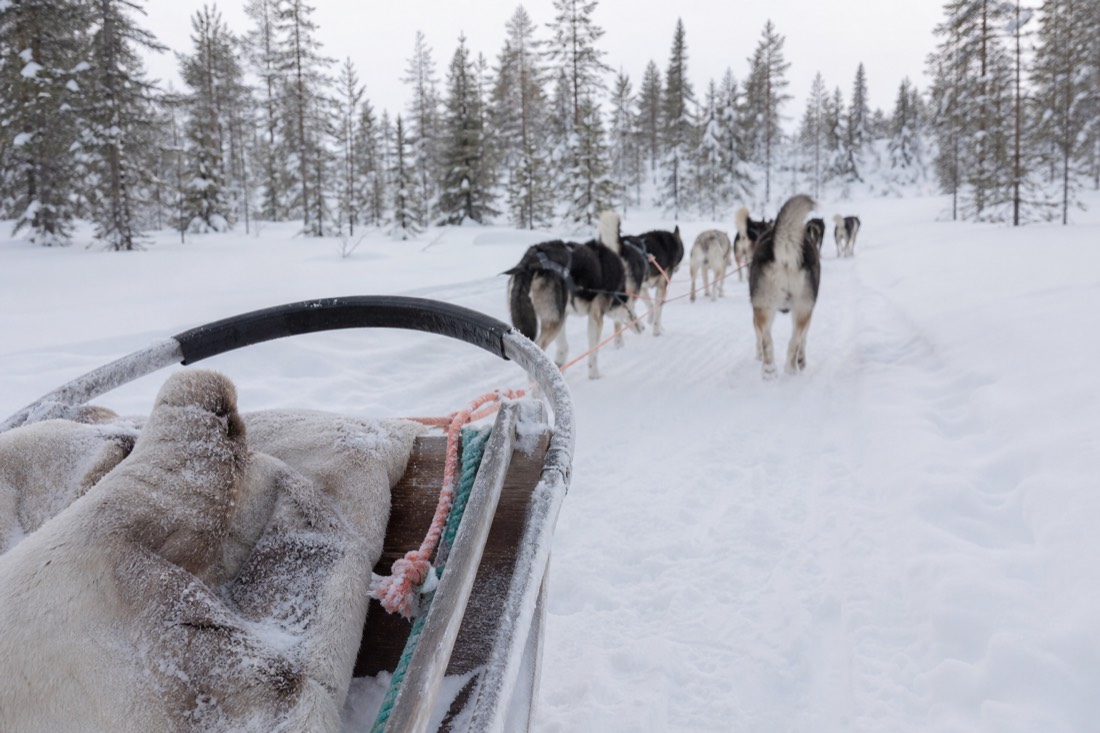 Snow-covered Finnish Lapland landscape in natural winter light