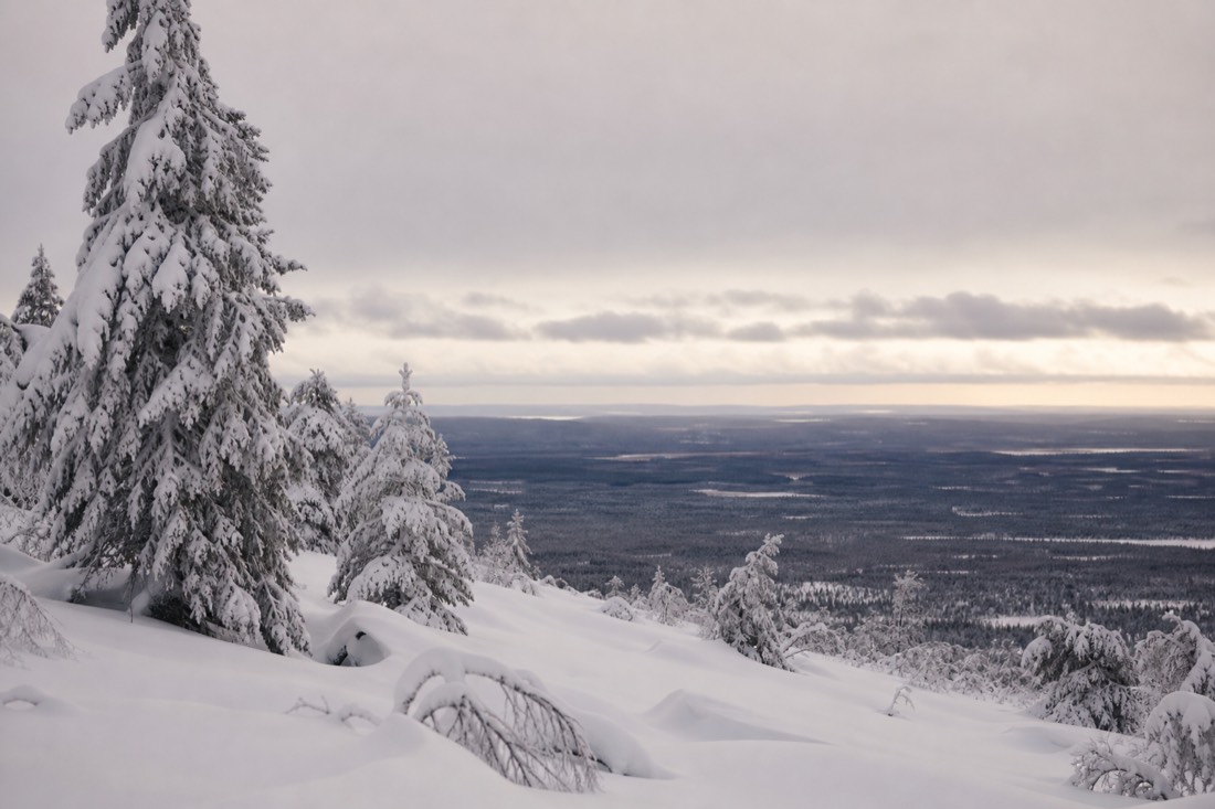 Snow-covered Finnish Lapland landscape in natural winter light