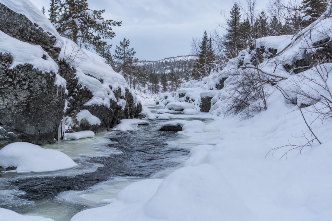 Schneebedeckte Landschaft von Finnisch-Lappland im natürlichen Winterlicht