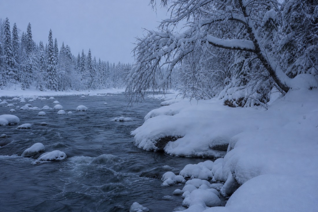 Paesaggio invernale della Lapponia finlandese coperto di neve sotto la luce naturale