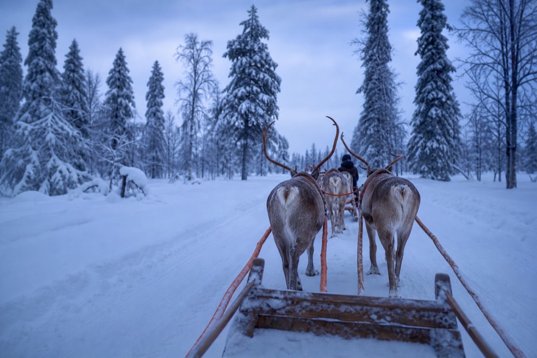 Paesaggio invernale della Lapponia finlandese coperto di neve sotto la luce naturale