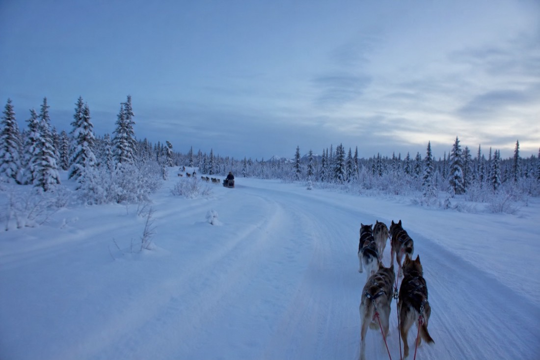 Snow-covered Finnish Lapland landscape in natural winter light