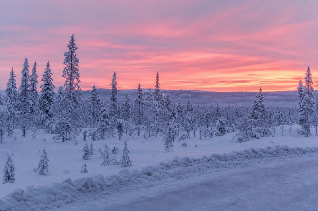 Snow-covered Finnish Lapland landscape in natural winter light