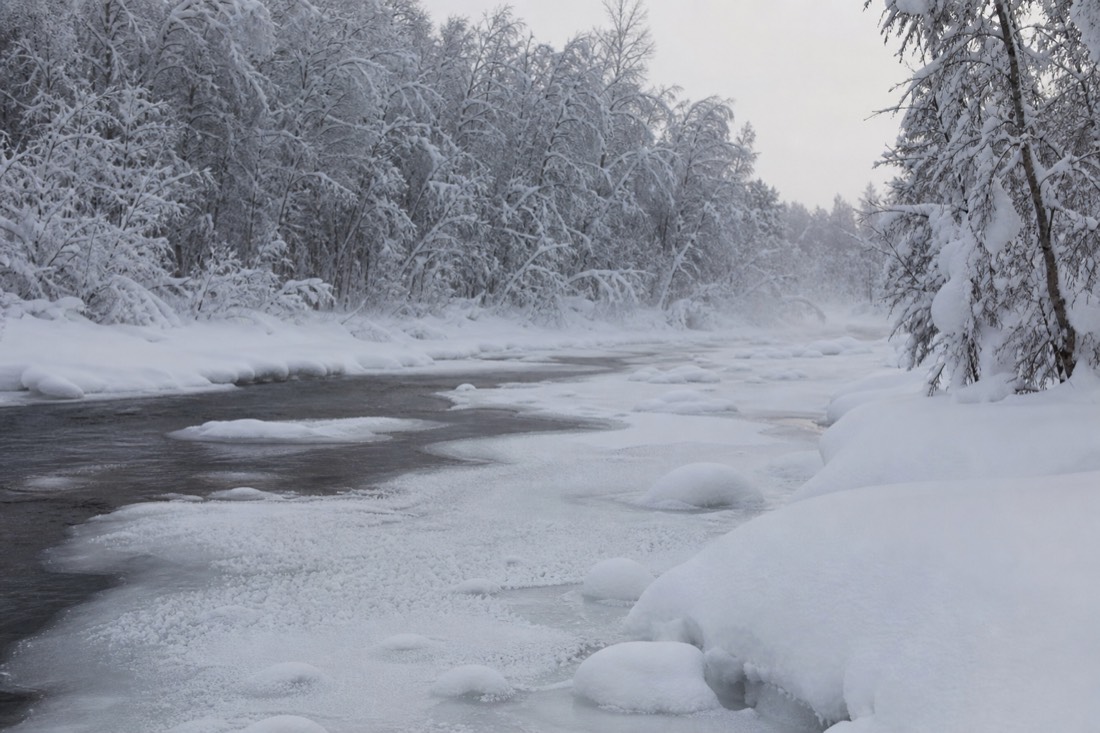 Paisaje invernal de Laponia finlandesa cubierto de nieve bajo luz natural