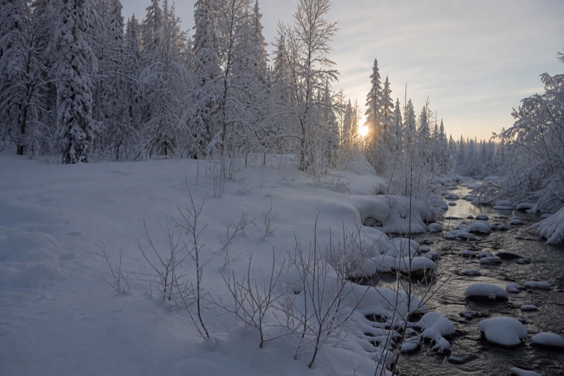 Paesaggio invernale della Lapponia finlandese coperto di neve sotto la luce naturale