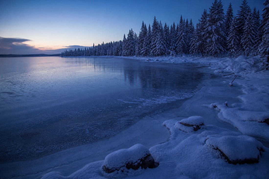 Un lago ghiacciato in Lapponia finlandese all’ora blu, abeti carichi di neve sulla sponda opposta