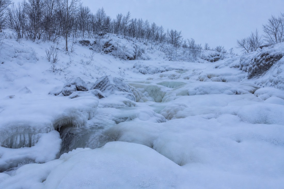 自然の冬の光に照らされた雪に覆われたフィンランドのラップランドの風景
