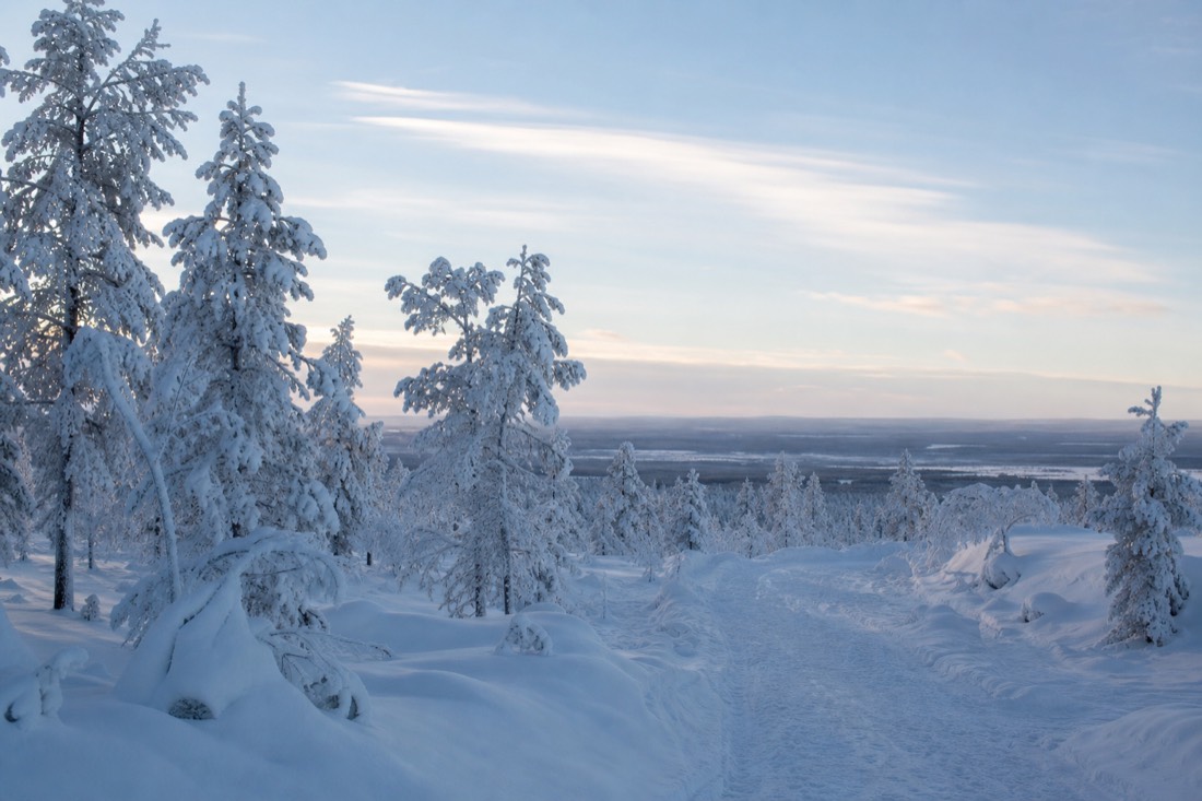 自然の冬の光に照らされた雪に覆われたフィンランドのラップランドの風景