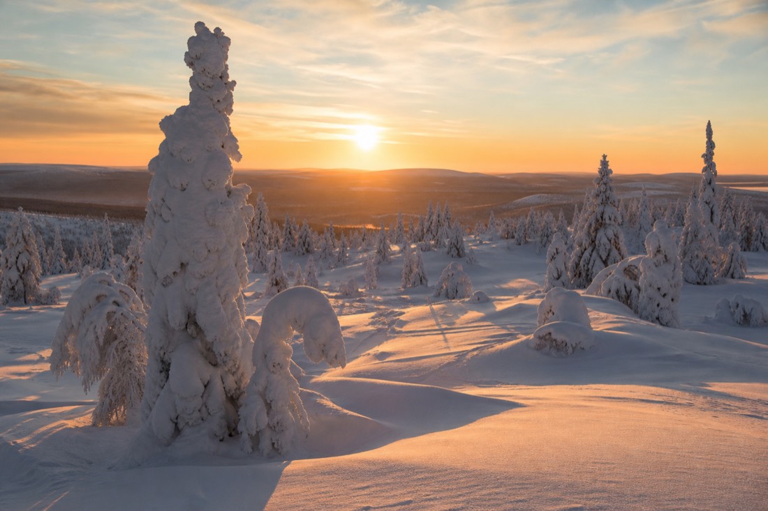 Snow-covered Finnish Lapland landscape in natural winter light