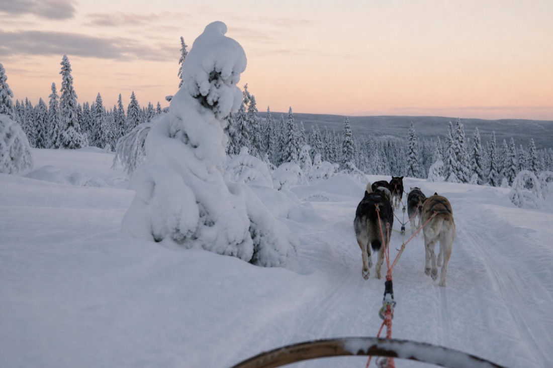 Snow-covered Finnish Lapland landscape in natural winter light