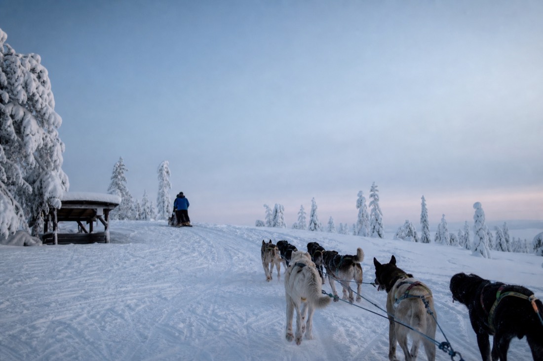 Snow-covered Finnish Lapland landscape in natural winter light