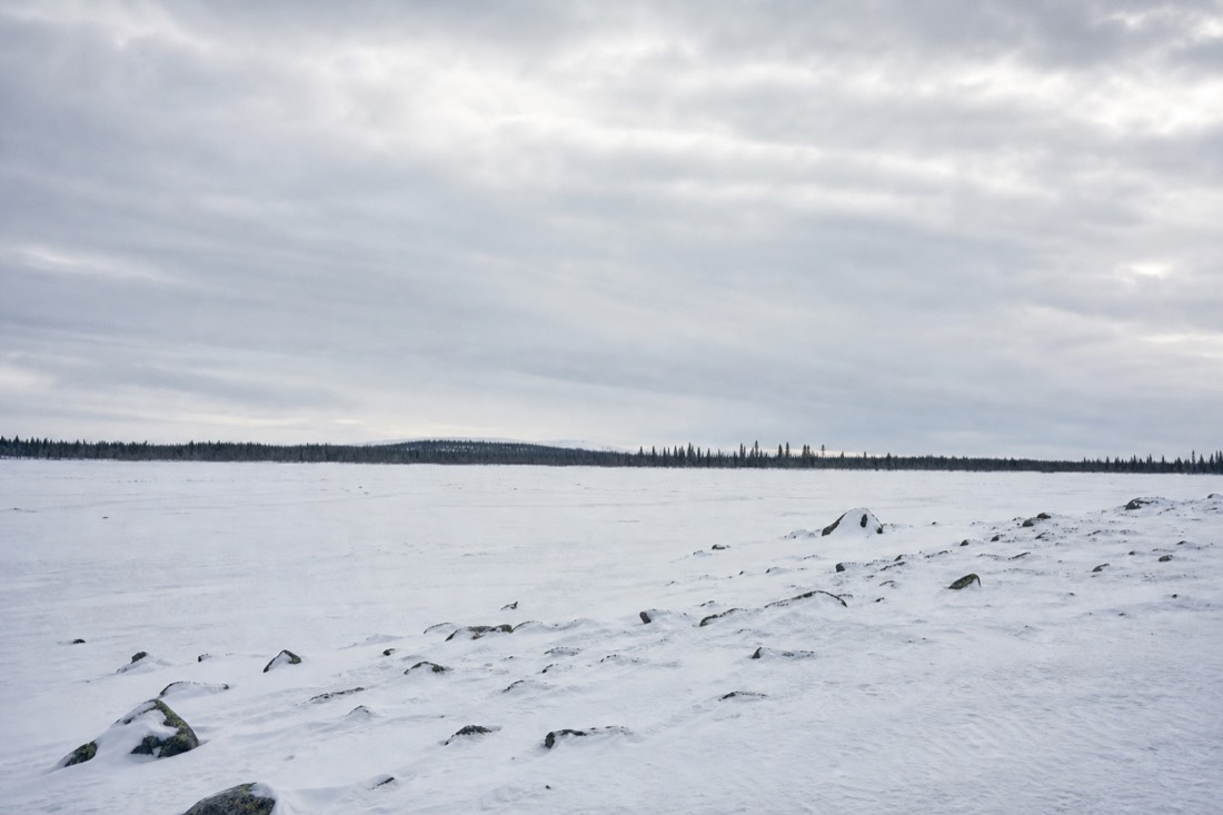 Ein weites, offenes Schneefeld in Lappland unter schwerem Himmel mit ferner Baumgrenze