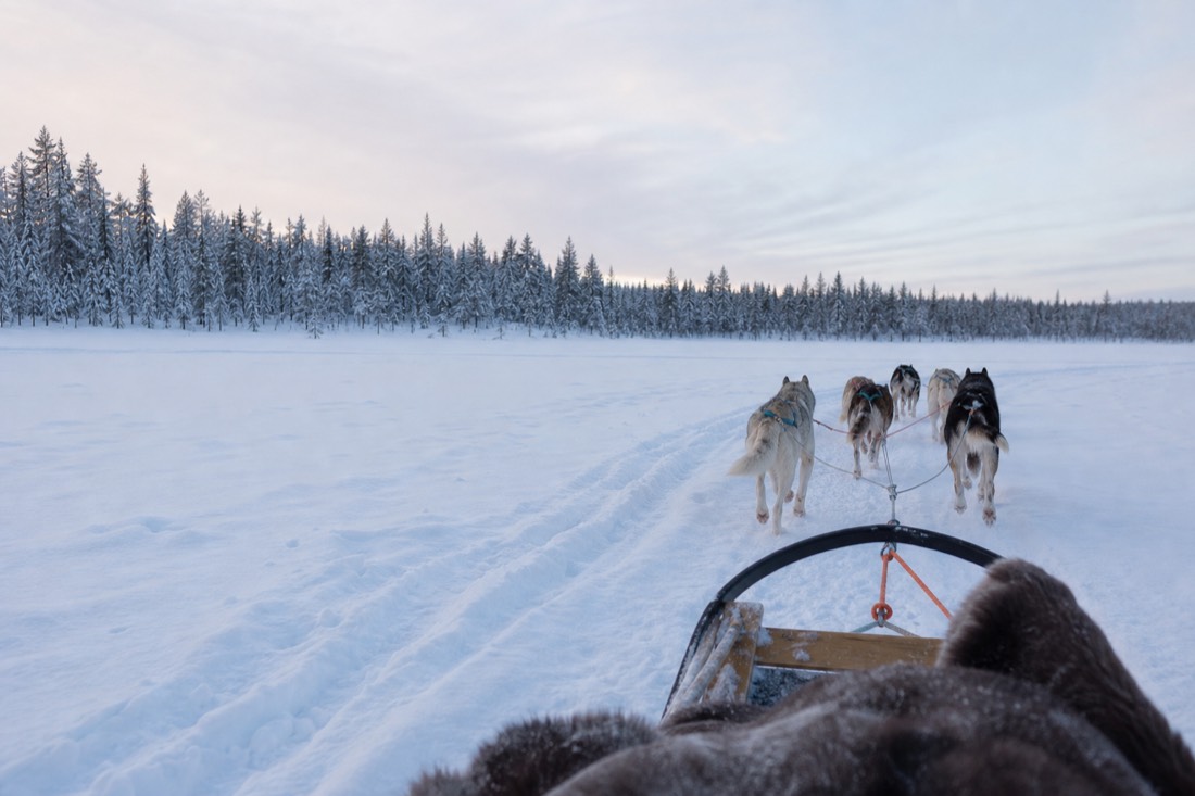 Snow-covered Finnish Lapland landscape in natural winter light