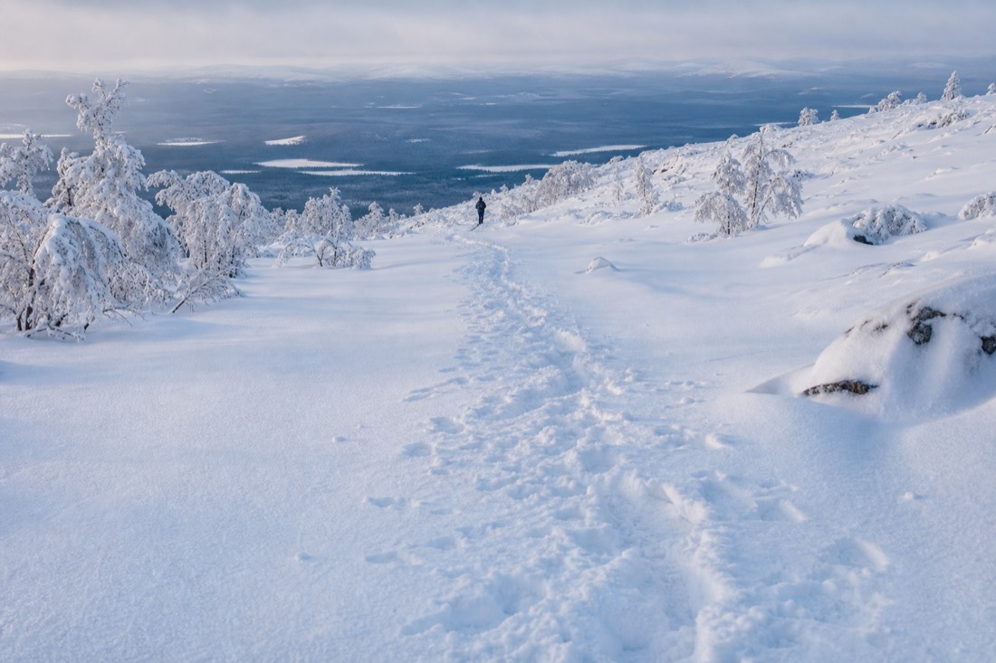 Snow-covered Finnish Lapland landscape in natural winter light