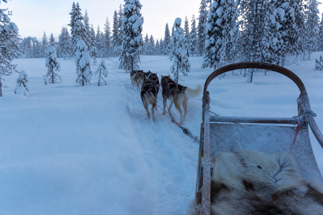 Snow-covered Finnish Lapland landscape in natural winter light