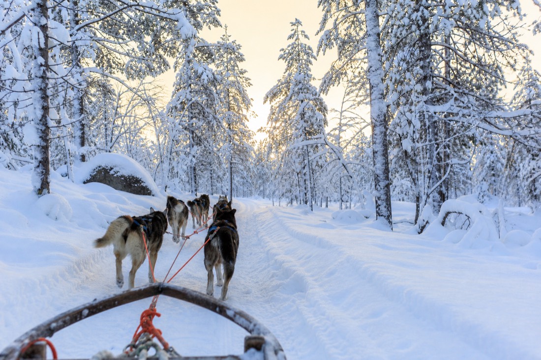 Snow-covered Finnish Lapland landscape in natural winter light