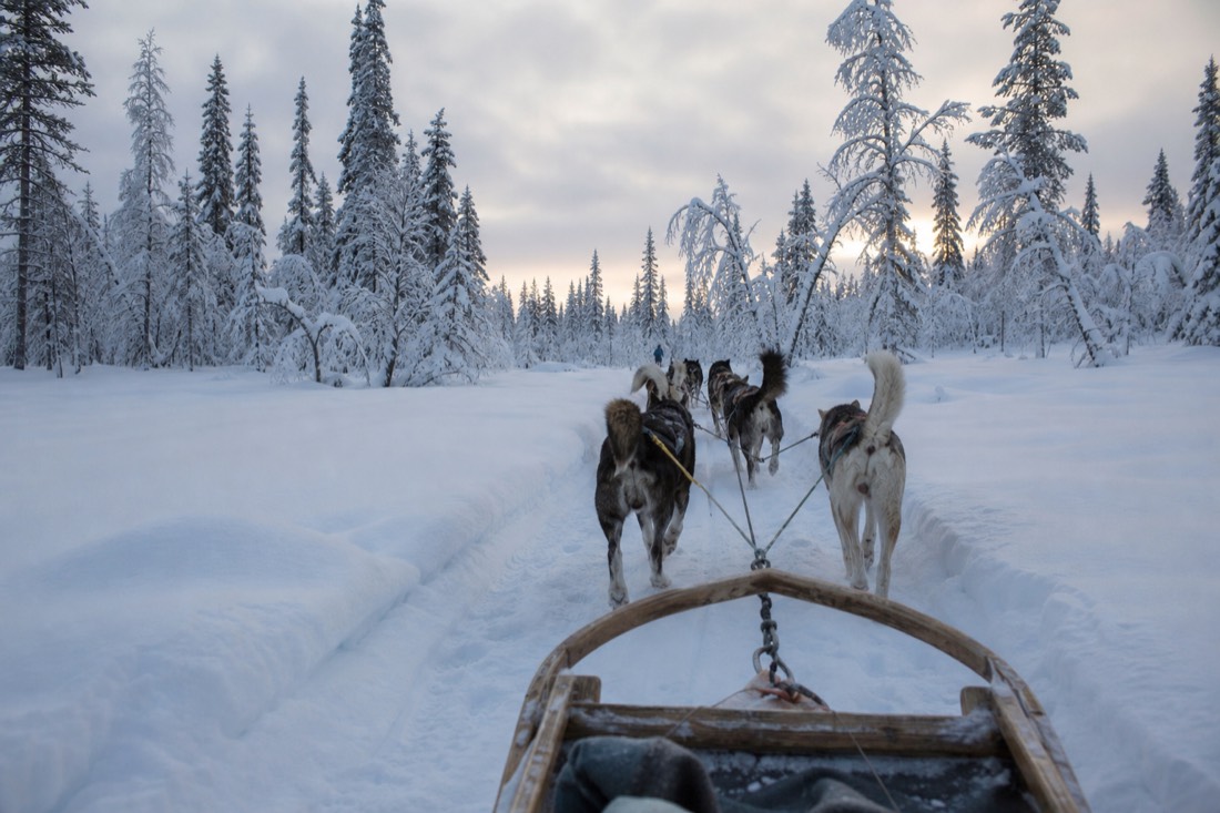 Snow-covered Finnish Lapland landscape in natural winter light