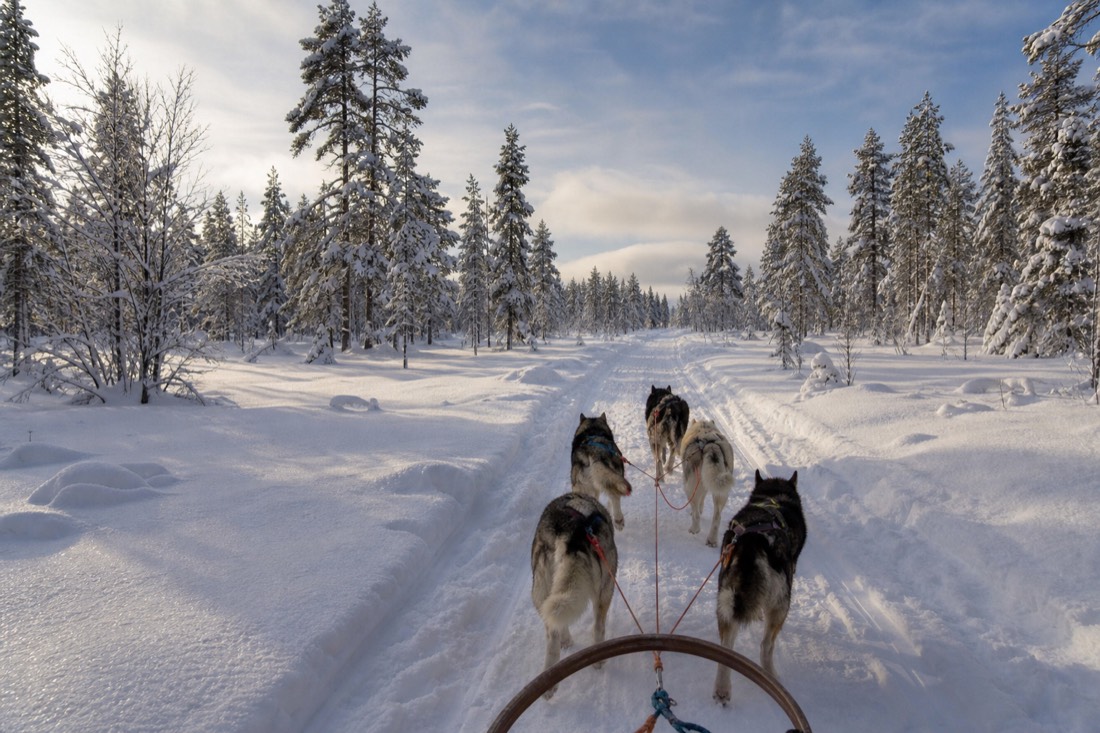 Snow-covered Finnish Lapland landscape in natural winter light