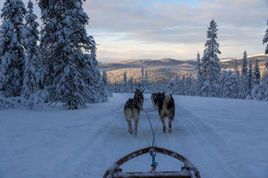 Snow-covered Finnish Lapland landscape in natural winter light