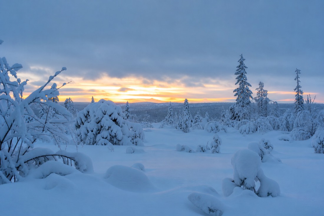 Schneebedeckte Landschaft von Finnisch-Lappland im natürlichen Winterlicht