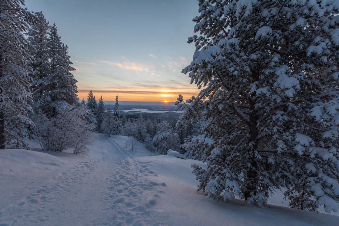 Snow-covered Finnish Lapland landscape in natural winter light