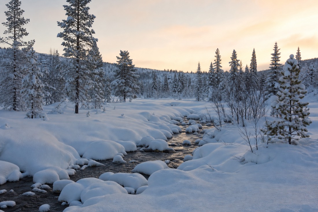 Snow-covered Finnish Lapland landscape in natural winter light