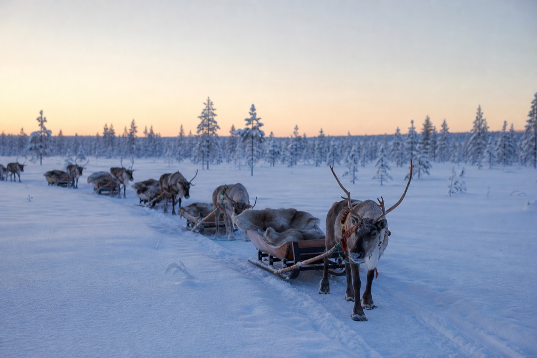 Schneebedeckte Landschaft von Finnisch-Lappland im natürlichen Winterlicht