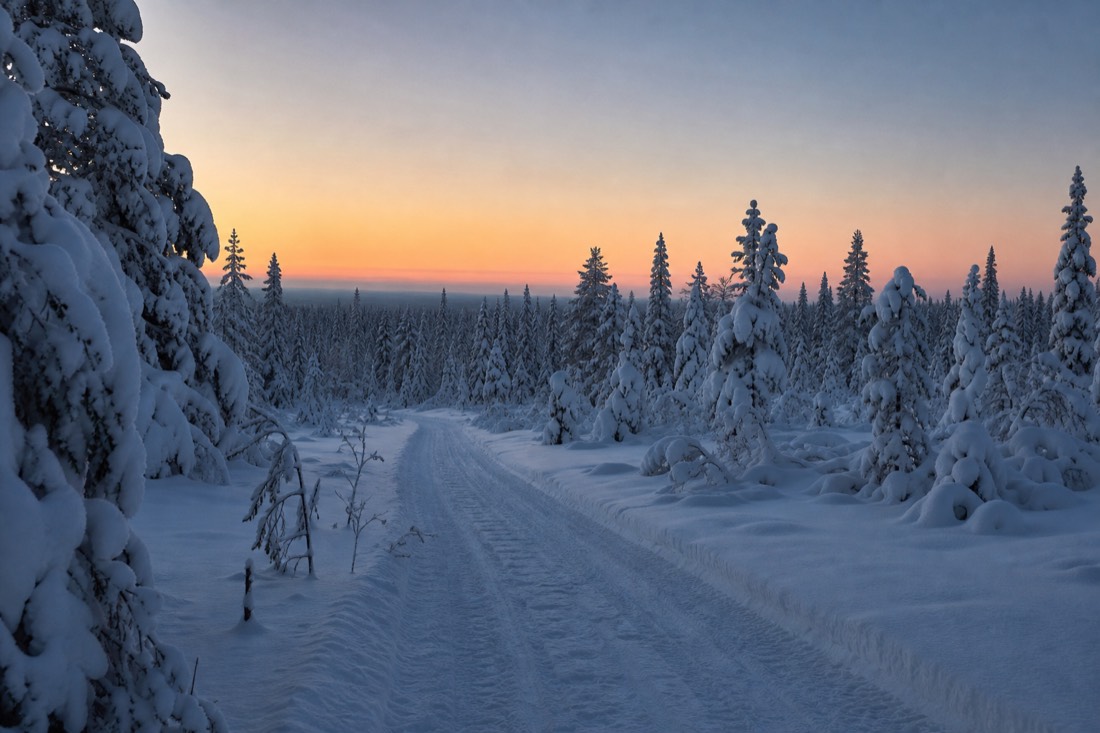 Ein freigeräumter Weg durch tiefen Schnee, der bei Tagesanbruch in den Lappland-Wald führt
