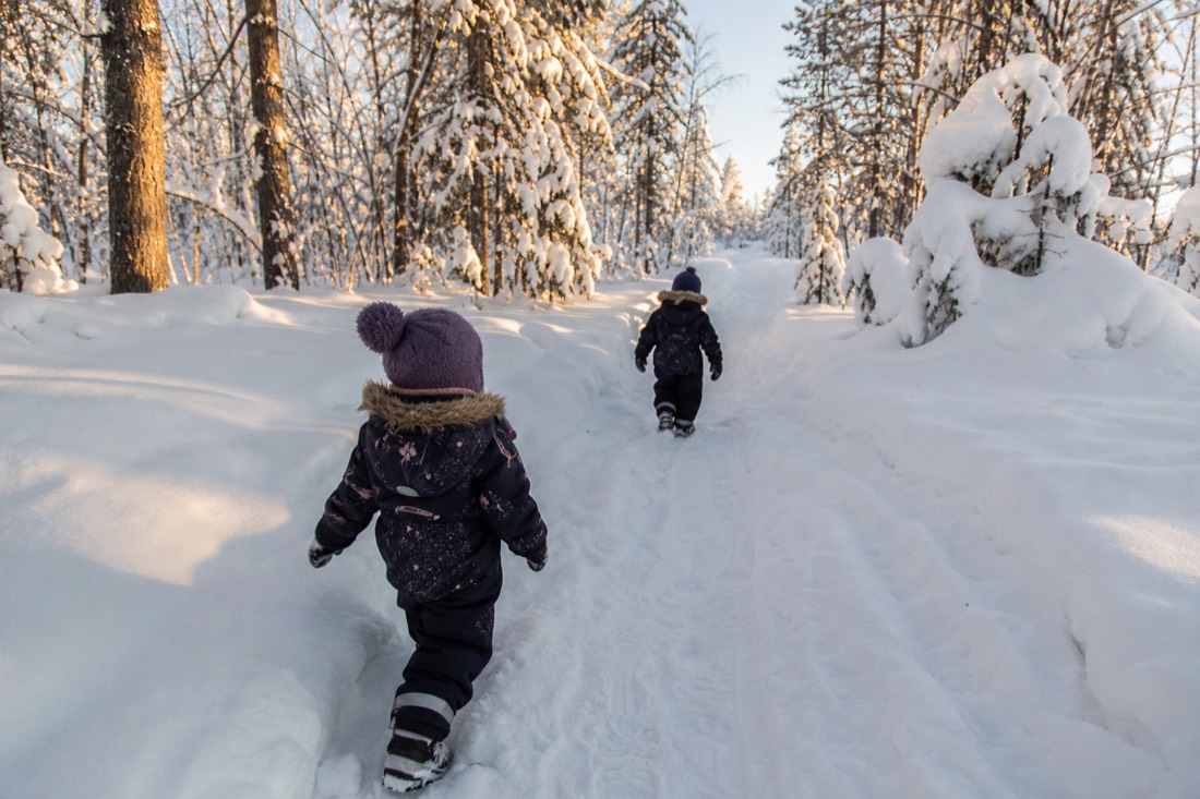 Snow-covered Finnish Lapland landscape in natural winter light