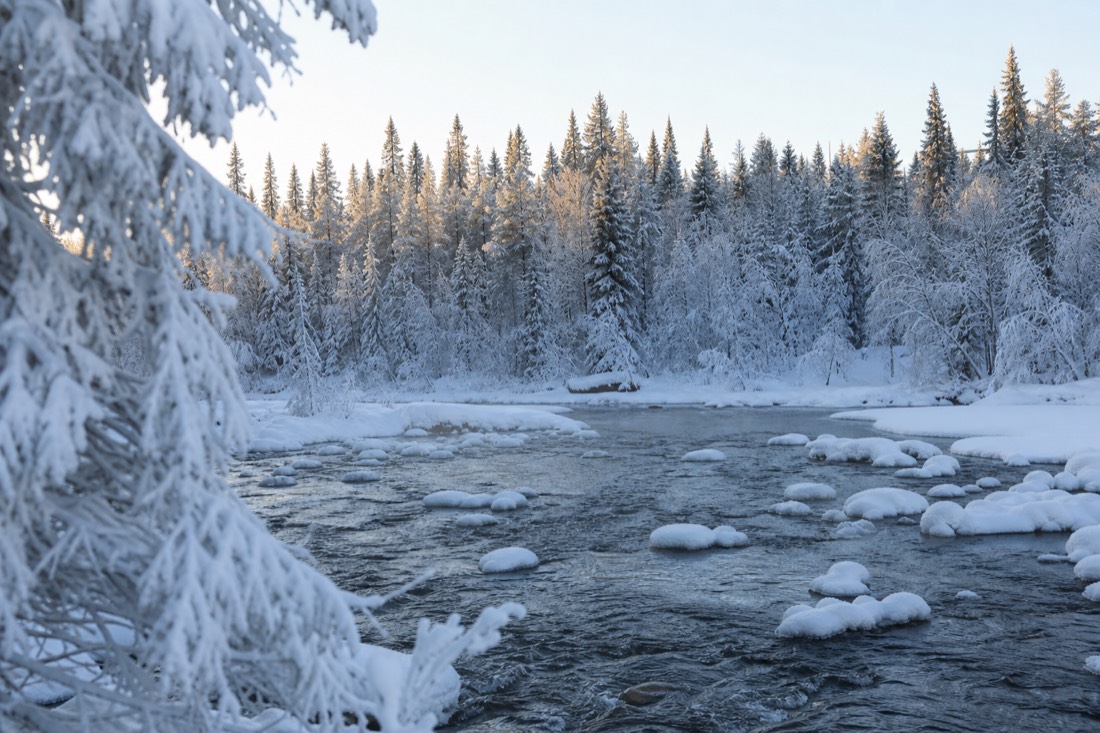 Schneebedeckte Landschaft von Finnisch-Lappland im natürlichen Winterlicht