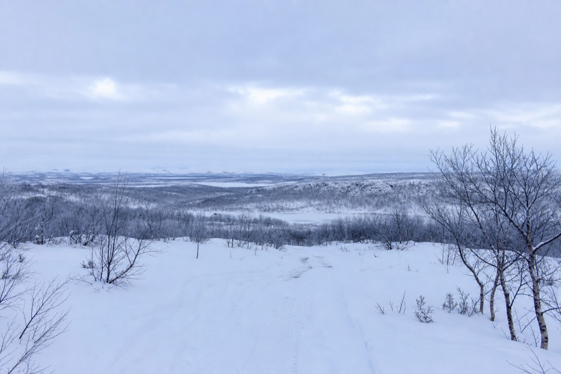 Snow-covered Finnish Lapland landscape in natural winter light