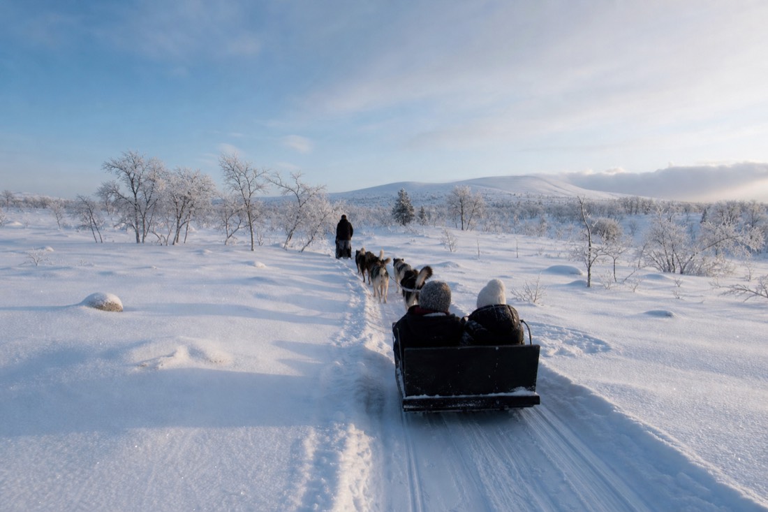Snow-covered Finnish Lapland landscape in natural winter light
