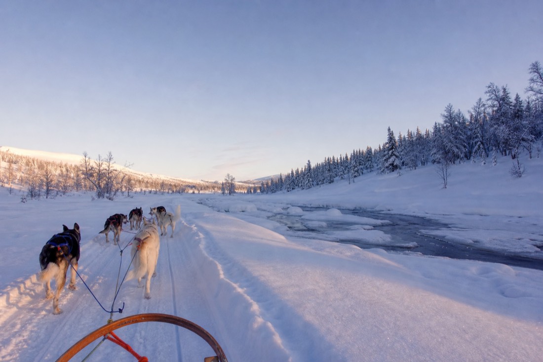 Snow-covered Finnish Lapland landscape in natural winter light