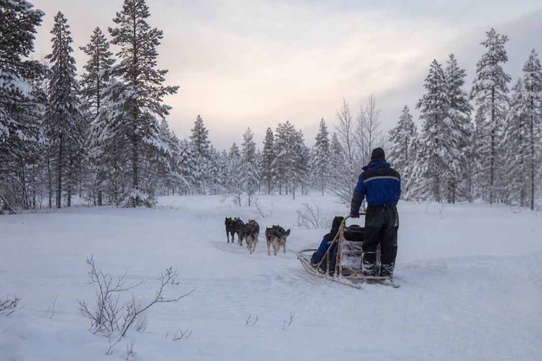 Snow-covered Finnish Lapland landscape in natural winter light