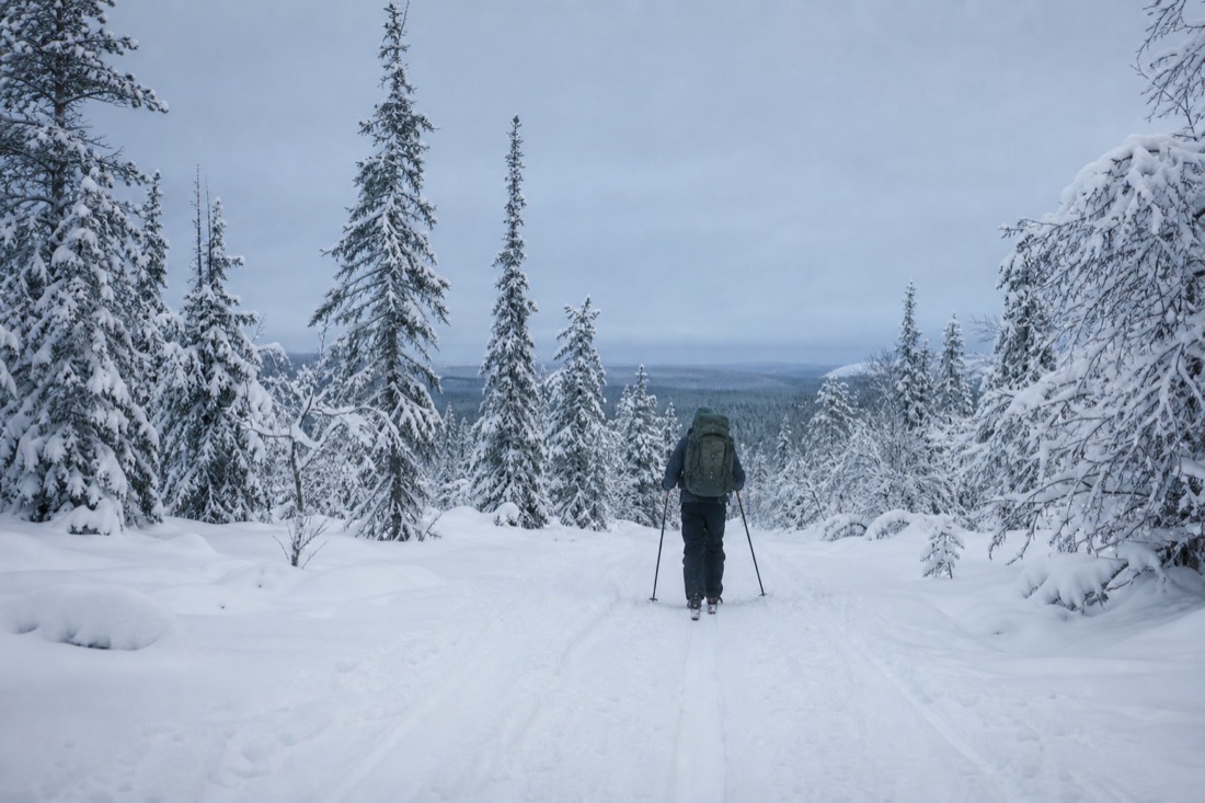 Snow-covered Finnish Lapland landscape in natural winter light