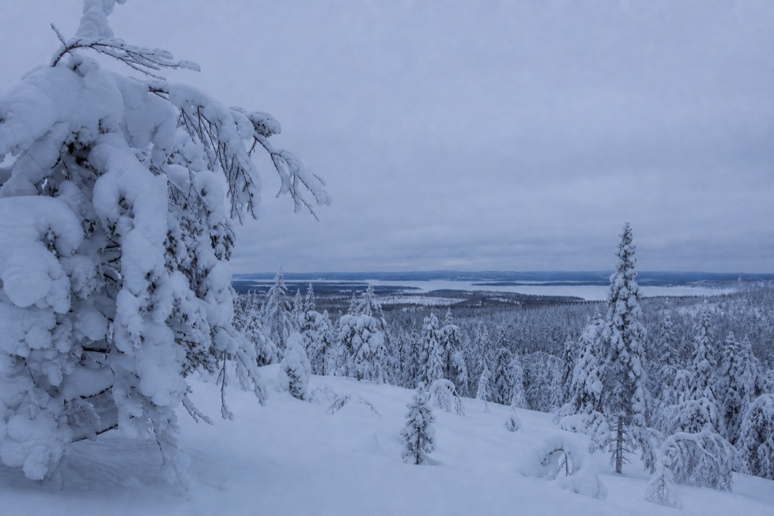Snow-covered Finnish Lapland landscape in natural winter light